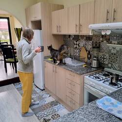 Streuner in unserer Wohnung