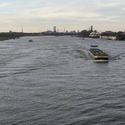 Der Rhein