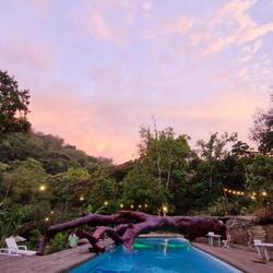 Der umgefallene Baum wurde im Hostel integriert