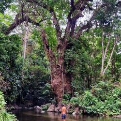 Einsame Badestelle am Fluss