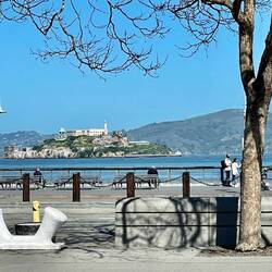 Goodbye San Francisco - we have left a little of our hearts here