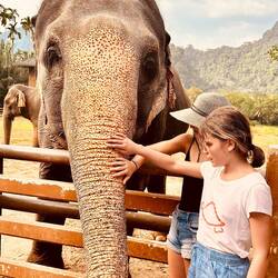 Elephant Hills - Surat Thani