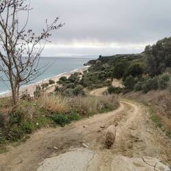 ...ich habe mich nicht getraut.