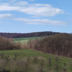 Blick vom Burgschädel
