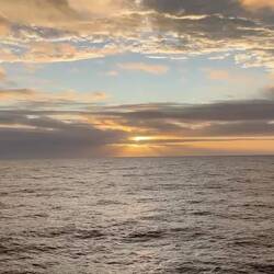 da irgendwo ist Neuseeland