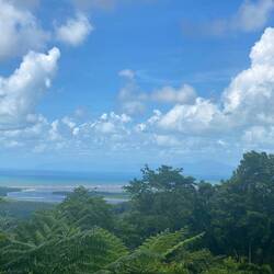A lookout in the Daintree, you can see the mouth of the Daintree River