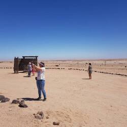 Stopp für kleine Königstiger in der Wüste