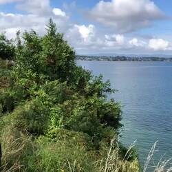 Lake Taupo