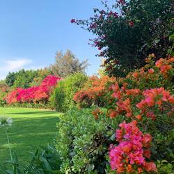 Garden of a private home