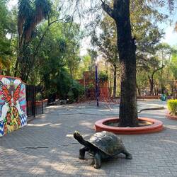 Children's park