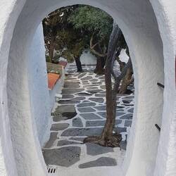 Im Olivengarten Dalis