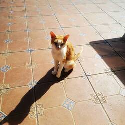 Take care of yourself! pleaseBe careful my little friend ☹️😞