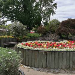 📍Kuirau Park, Rotorua, Neuseeland 🇳🇿