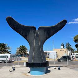 Eine Walflosse am Hafen, Symbol der Stadt Puerto Madryn