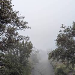 De Start i dichtem Nebel...