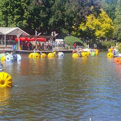 Water trikes were very popular - a line up for 15-30 minutes on the water 😵‍💫