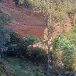 Paradise Falls- noticeable lack of water. Peregrine falcon nesting sites & small birds ++