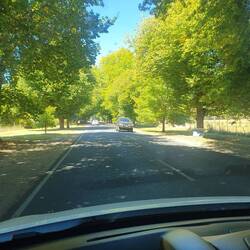 Entry to Bright - elms under threat from an estate development