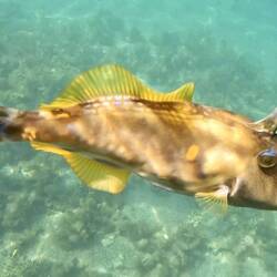 The leather jacket that attacked me!