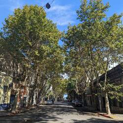 Street in the Barrio Sur