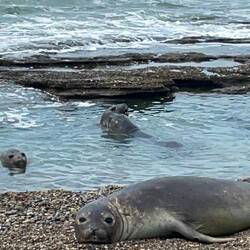 Am Strand ruhen, im Wasser toben.