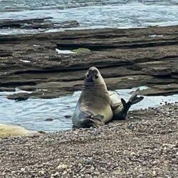 Kurzes Recken und Strecken