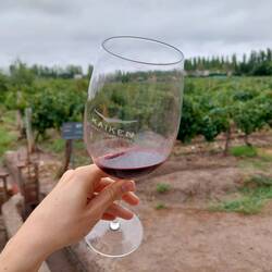 Malbec- fest uns flüssig