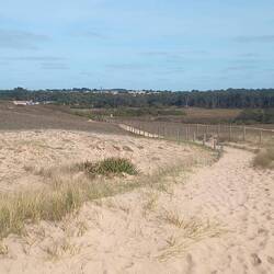 Blick vom Strand ins Land