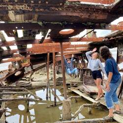 Janie Seddon Shipwreck