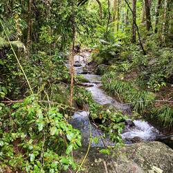 Creek that flows into Mossman Gorge