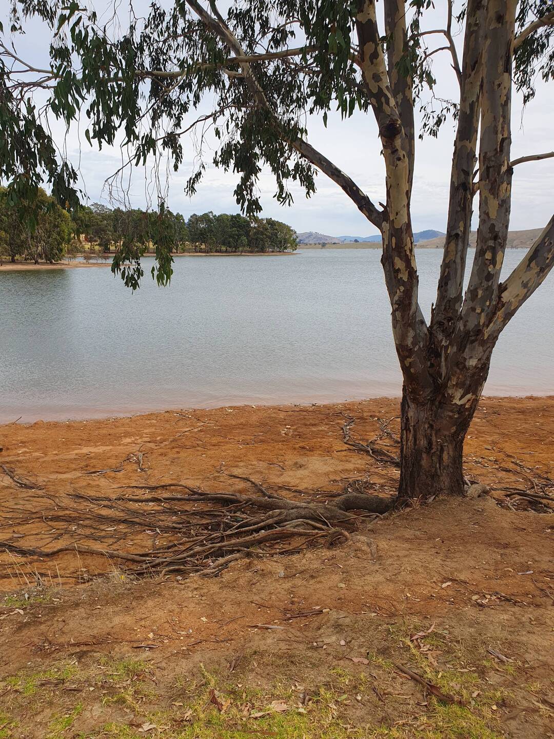 First view of the Murray River at Lake Hume, Tallangatta