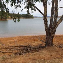 First view of the Murray River at Lake Hume, Tallangatta