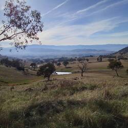 Another amazing view - looking east from Vic to NSW along the Murray Highway