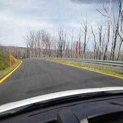 Stark remnants of the Alpine forest after bushfires