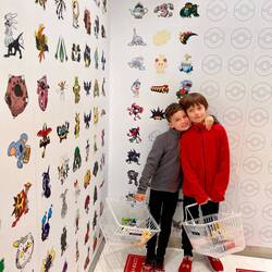 in the Pokemon Center!