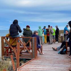 Mittlerweile haben sich fast alle Orca-Beobachter verzogen. Leider ist heute wohl Ruhetag!