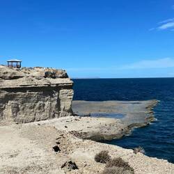 Seelöwen-Kolonie unten am Wasser