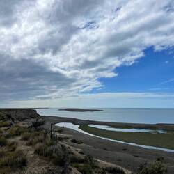 Wanderung auf den Klippen mit schönen Blicken aufs Meer und auf die Tiere