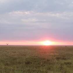 Warten am Eingang des Parks auf die Öffnung des Tores Punkt 7.00 Uhr