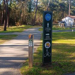 Das ganze Waldgebiet mit top Radwegen