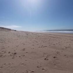 Befreit von Raum und Zeit...