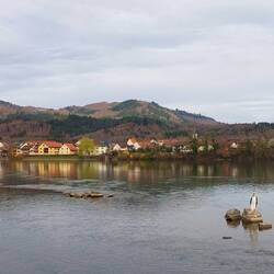 Die Schweiz hat eine kleine Pinguin Population!