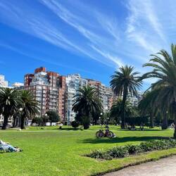In allen Parks darf man picknicken.