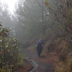 Läuft bei uns...😂