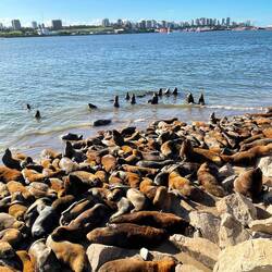 Die Ruheplätze werden rar!