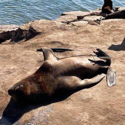 Am frühen Nachmittag gibt es noch ausreichend Plätze.