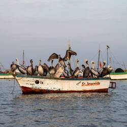 Start der Waltour 🚤