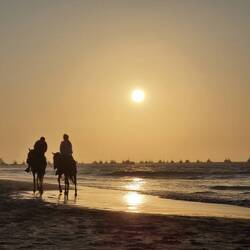 Der Sonne entgegen ☀️