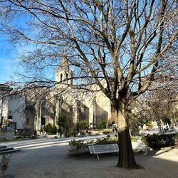 Le Jardin de Medecins
