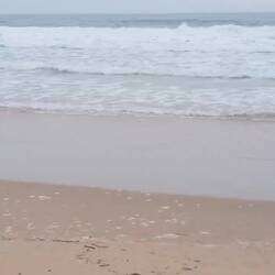 Kleine Kostprobe, auch wenn der Sound eher schlecht ist